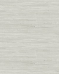 Grey Classic Faux Grasscloth Peel  Stick Wallpaper SSS4575 by  Brewster Wallcovering 