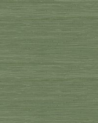 Hunter Green Classic Faux Grasscloth Peel  Stick Wallpaper SSS4576 by  Brewster Wallcovering 