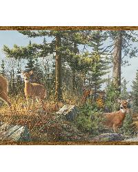 Ashmere Brown Whitetail Crest Border by   