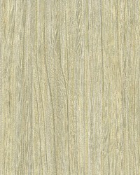 Derndle Birch Faux Plywood Wallpaper by   