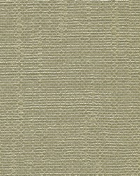 Dianne Birch Textured Shiny Lines Wallpaper by   
