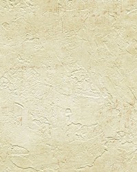 Plumant Buttered Faux Plaster Texture Wallpaper by  Brewster Wallcovering 