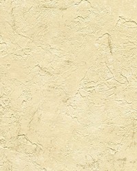 Plumant Cafe  Faux Plaster Texture Wallpaper by   