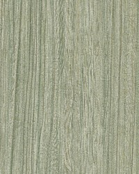 Derndle Moss Faux Plywood Wallpaper by   