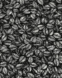 Amorina Black Leaf Wallpaper by   