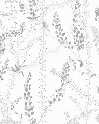 Bladranker Grey Botanical Wallpaper by   