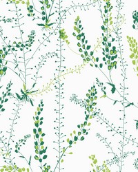 Bladranker Green Botanical Wallpaper by   