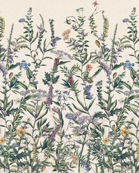 Flowering Herbs Wall Mural X4-1011 by  Roth and Tompkins Textiles 