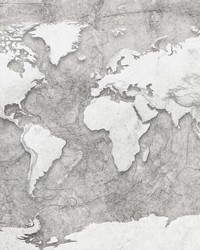 World Relief Wall Mural X7-1007 by  Scalamandre Wallcoverings 