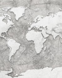 World Relief Wall Mural X7-1007 by   
