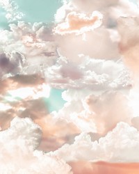 Mellow Clouds Wall Mural X7-1014 by   
