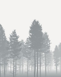 Nebula Wall Mural X7-1021 by   