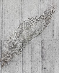 Concrete Feather Wall Mural X7-1023 by  Greenhouse Fabrics 