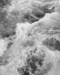 Wildest Water Wall Mural X7-1077 by   