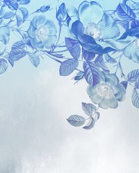 Blue Aura Wall Mural X7-1094 by  Brewster Wallcovering 