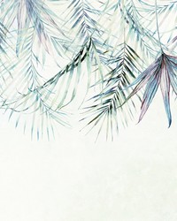 Palm Spring Wall Mural X7-1097 by   