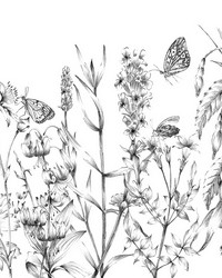 Butterfly Field Wall Mural X8-1085 by  Brewster Wallcovering 