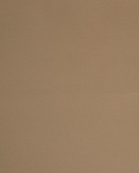 Greenhouse A1312 by  Greenhouse Fabrics 