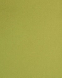 Greenhouse A1319 by  Greenhouse Fabrics 