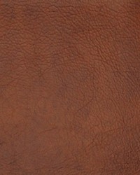 Greenhouse A2249 by  Greenhouse Fabrics 