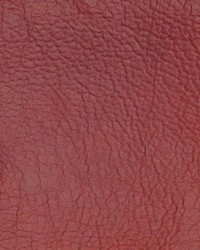 Greenhouse A2255 by  Greenhouse Fabrics 