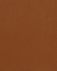 Greenhouse A4063 by  Greenhouse Fabrics 