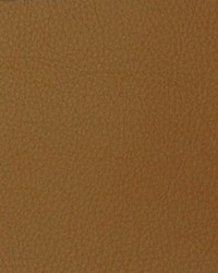 Greenhouse A4064 by  Greenhouse Fabrics 