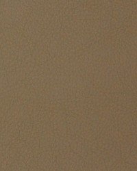 Greenhouse A4090 by  Greenhouse Fabrics 