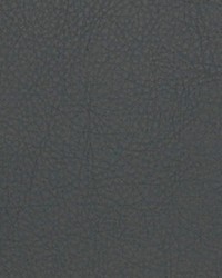 Greenhouse A4101 by  Greenhouse Fabrics 