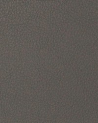 Greenhouse A4102 by  Greenhouse Fabrics 