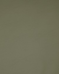 Greenhouse A7112 by  Greenhouse Fabrics 