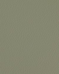 Greenhouse A7201 by  Greenhouse Fabrics 