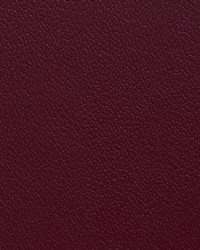 Greenhouse A7210 by  Greenhouse Fabrics 