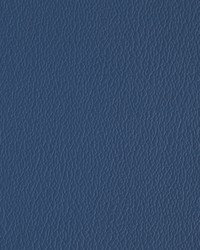 Greenhouse A7217 by  Greenhouse Fabrics 