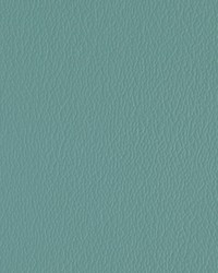 Greenhouse A7218 by  Greenhouse Fabrics 