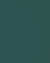 Greenhouse A7219 by  Greenhouse Fabrics 