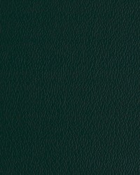 Greenhouse A7222 by  Greenhouse Fabrics 