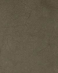 Greenhouse A7664 by  Greenhouse Fabrics 