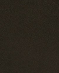 Greenhouse A7670 by  Greenhouse Fabrics 