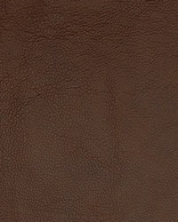 Greenhouse A7679 by  Greenhouse Fabrics 