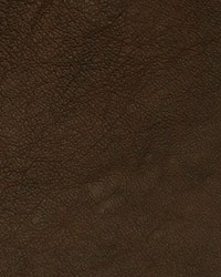 Greenhouse A7680 by  Greenhouse Fabrics 