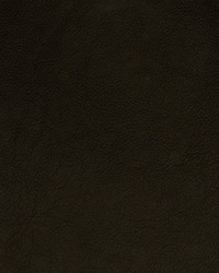 Greenhouse A7682 by  Greenhouse Fabrics 