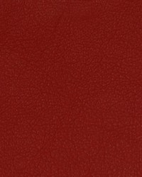 Greenhouse A7691 by  Greenhouse Fabrics 