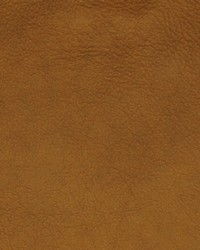 Greenhouse A7706 by  Greenhouse Fabrics 