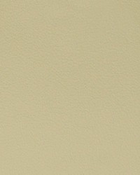 Greenhouse A7714 by  Greenhouse Fabrics 