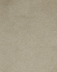 Greenhouse A7730 by  Greenhouse Fabrics 