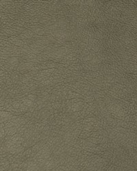 Greenhouse A7734 by  Greenhouse Fabrics 