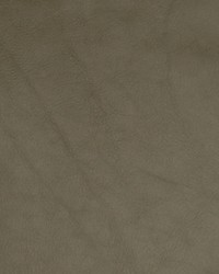 Greenhouse A7735 by  Greenhouse Fabrics 