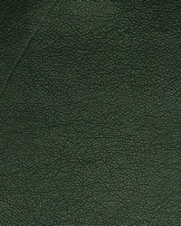 A7753 Pine by  Greenhouse Fabrics 