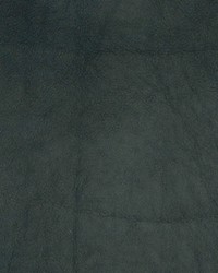 Greenhouse A7757 by  Greenhouse Fabrics 